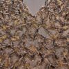 Motifs Design 141