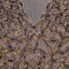 Motifs Design 141 - Image 2