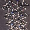 Trims Design 17 - Image 2